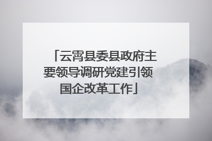 云霄县委县政府主要领导调研党建引领国企改革工作